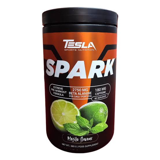 TESLA SPARK